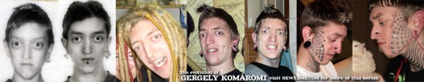 evolution-5-Gergely-Komaromi