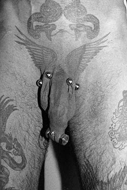 Alan Oversby's (Mr. Sebastian) genital piercings.